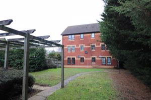 Photo 11- click for photo gallery